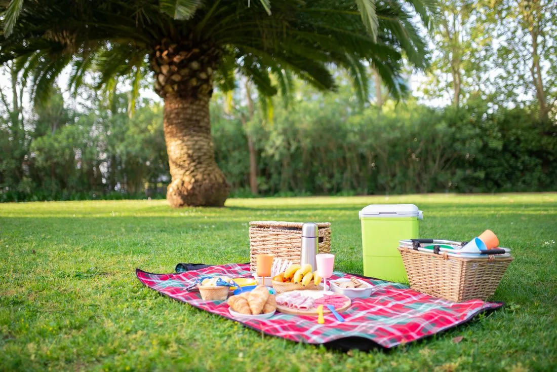 Picnic blanket, basket and refreshments arranged in a green park
