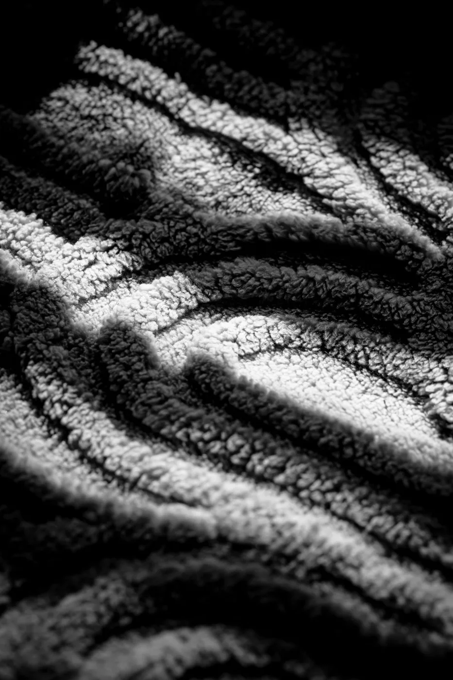 Black and white close-up of textured fabric