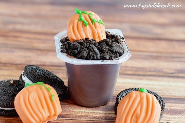 Pumpkin Patch Pudding Cups