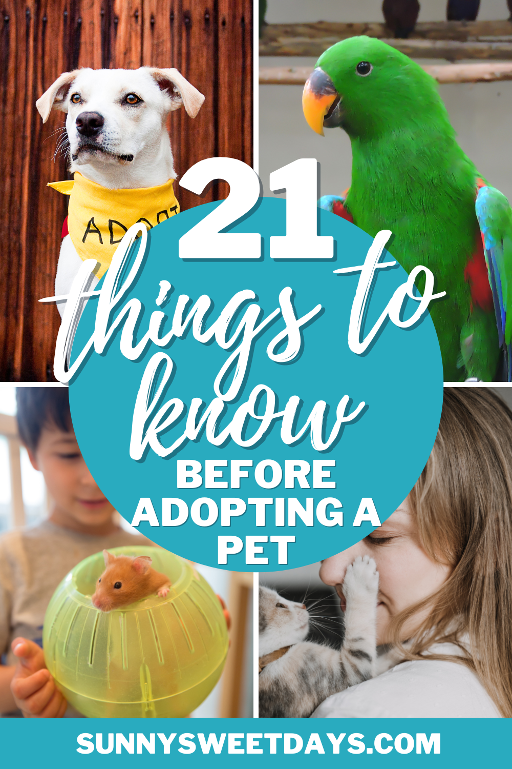 21 Things You Need to Know Before Adopting a Pet