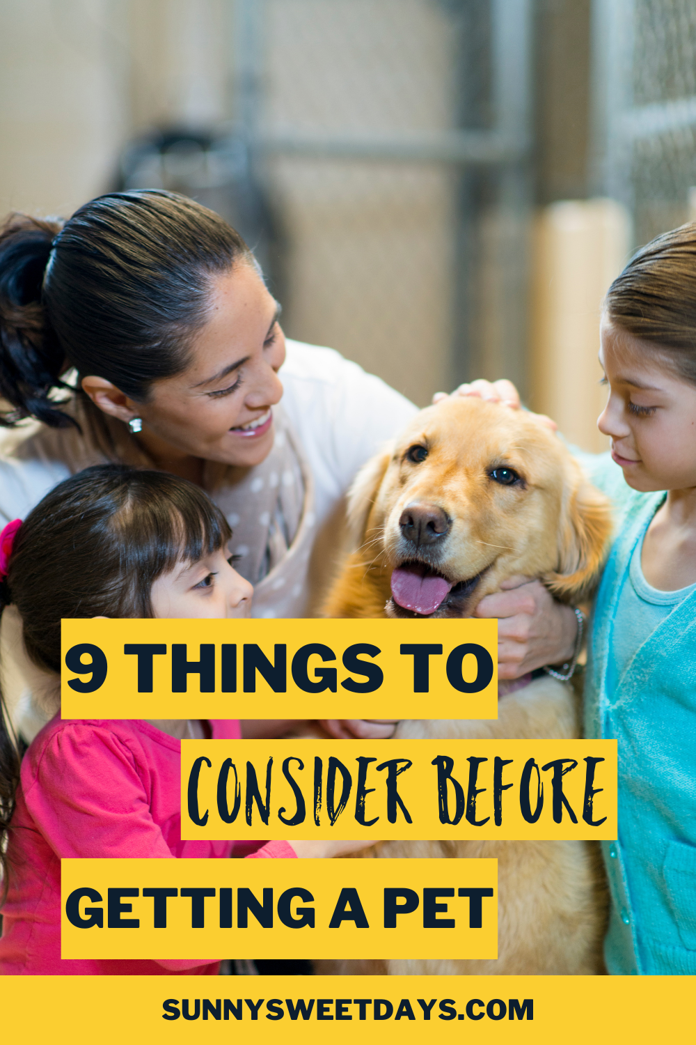 9 Things to Consider Before Getting a Pet