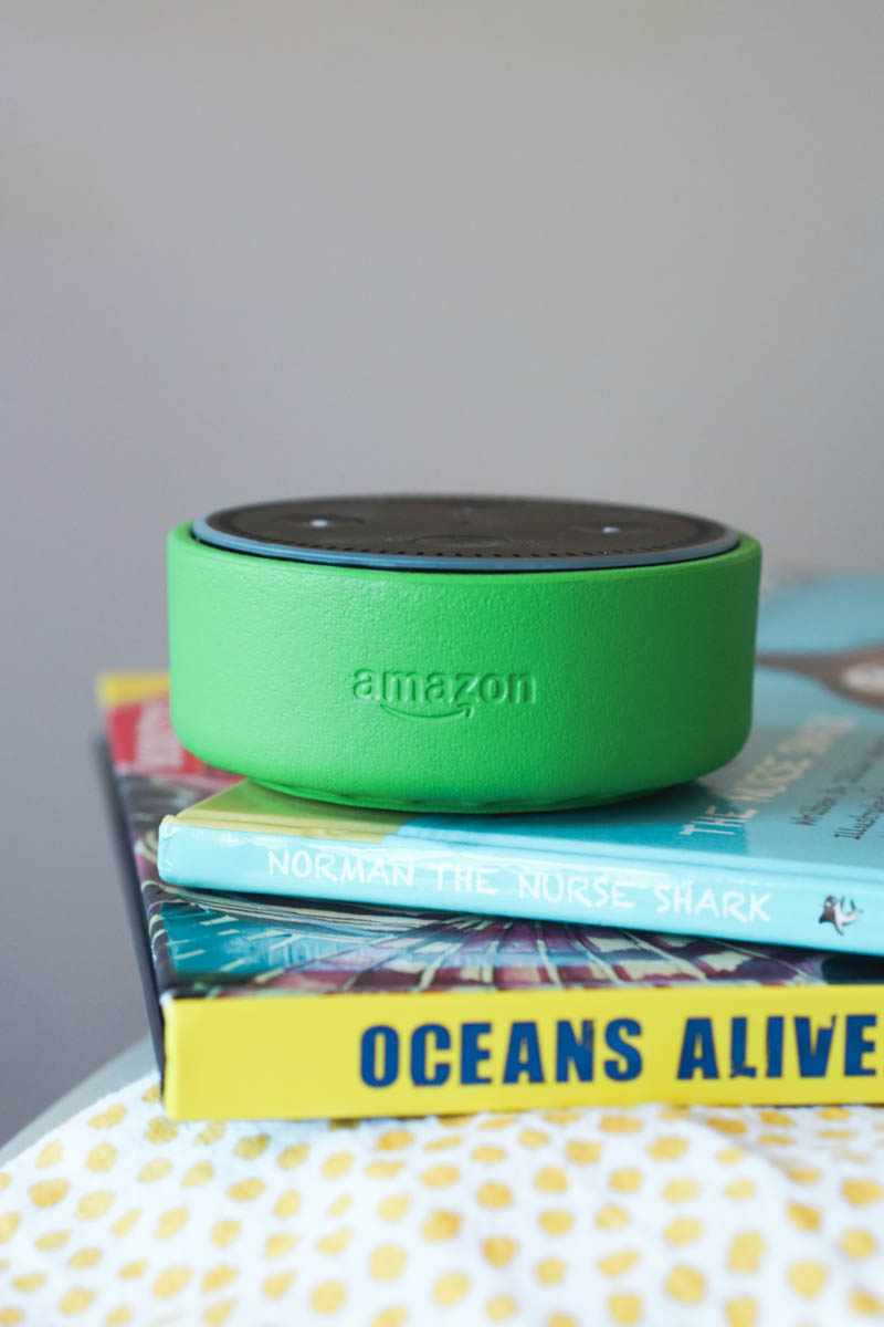 Amazon Echo National Reading Month-2
