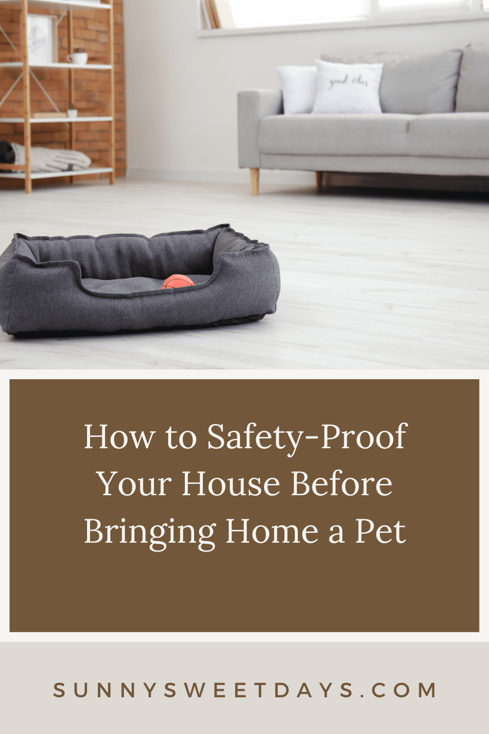 How to Safety-Proof Your House Before Bringing Home a Pet