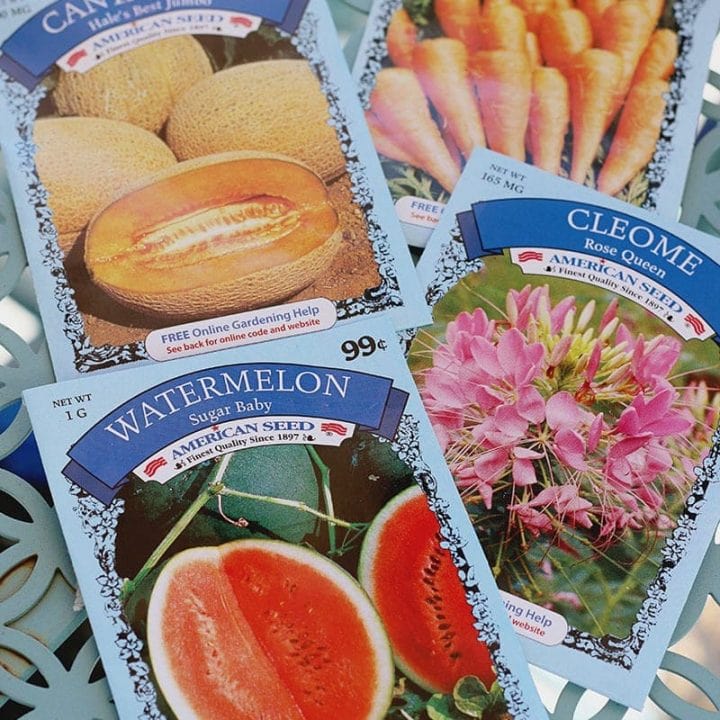 Dollar Tree Garden Supplies