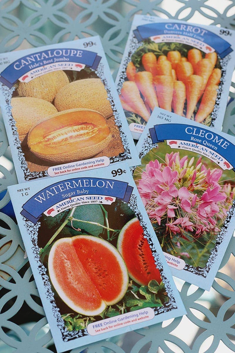 Dollar Tree Garden Supplies