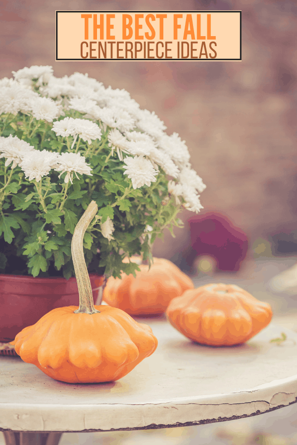 Fall Centerpiece Ideas