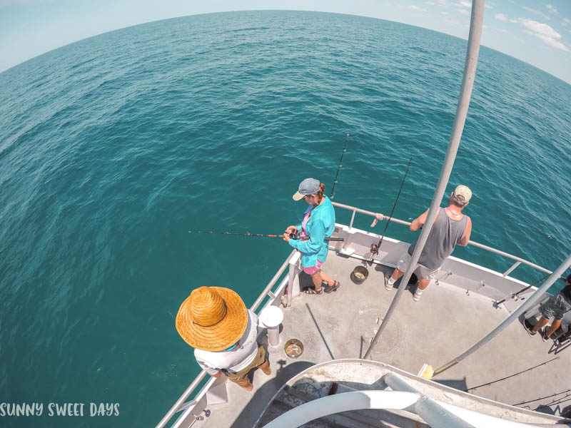 Fried Snapper Recipe | Fresh Fish Ideas