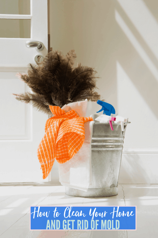 How to Clean Your Home