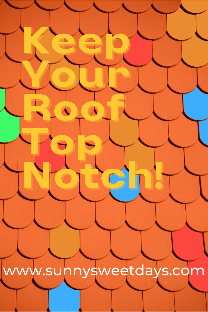 Your Home’s Roof Needs To Be Top Notch: Here Are Some Options
