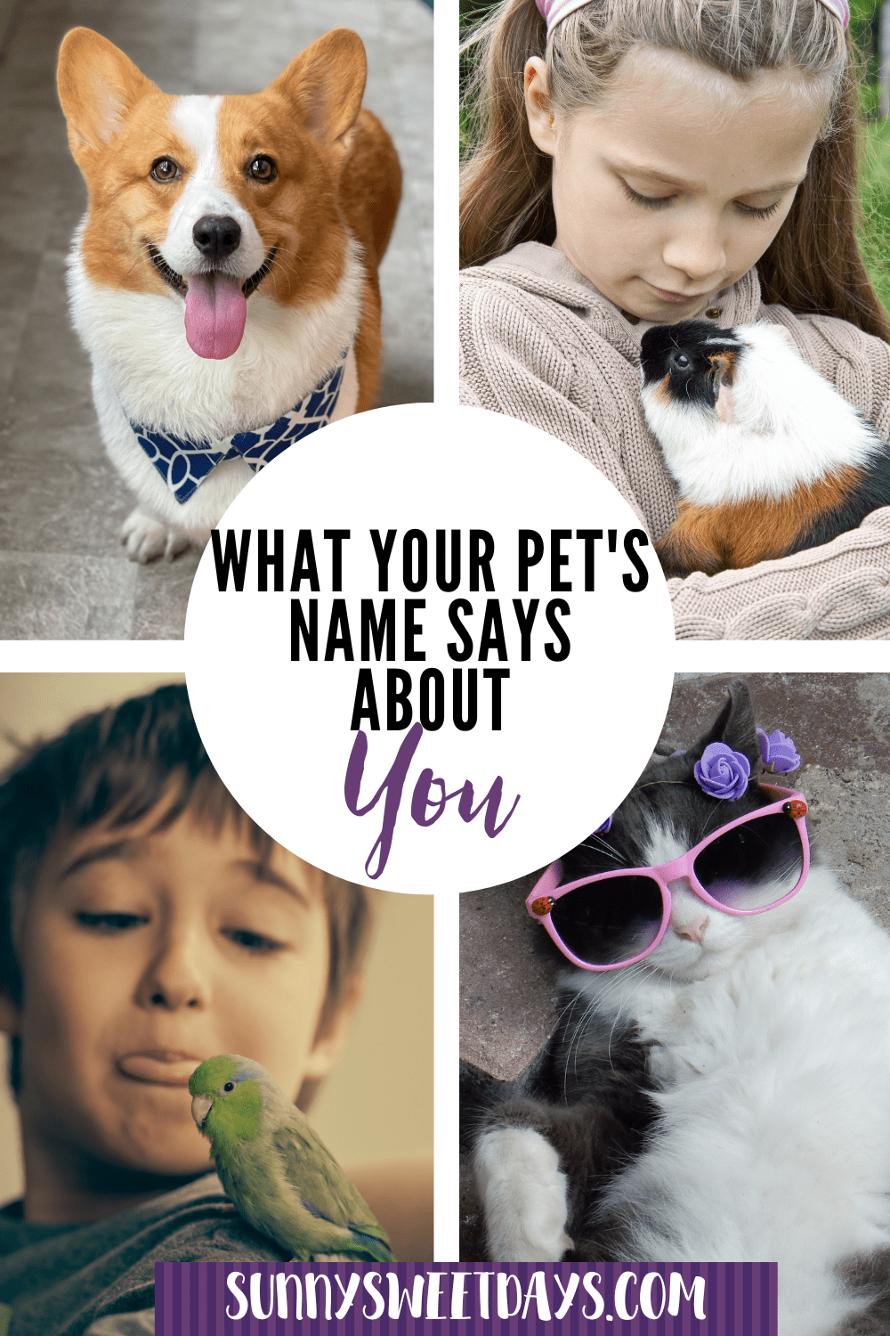 Creative Pet Name Ideas