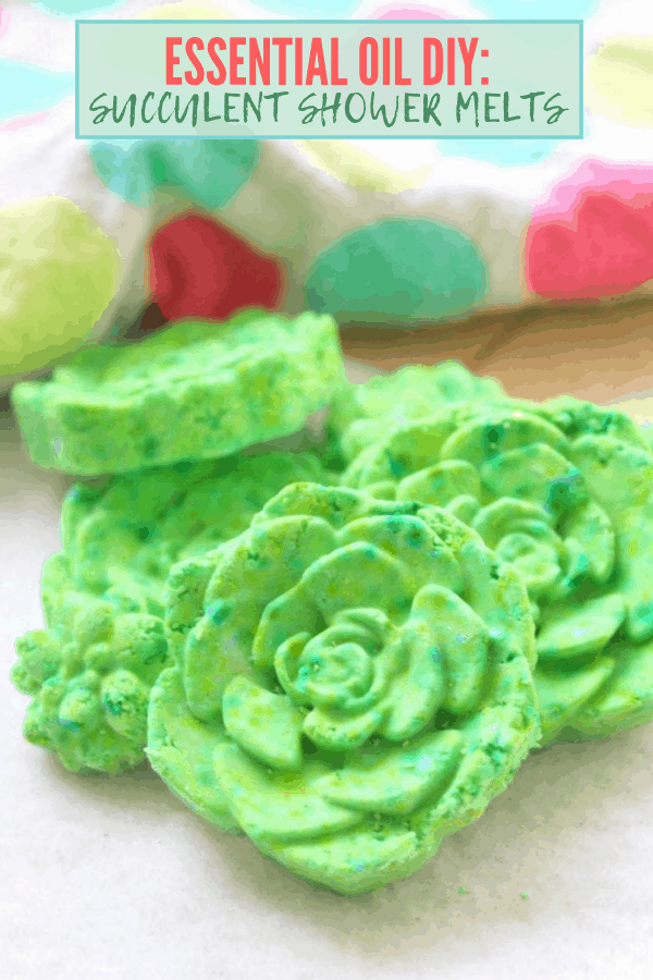 Succulent Shower Melts