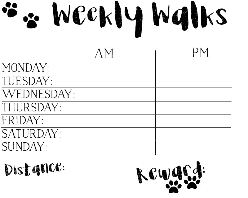 Get Healthy With Your Pet
