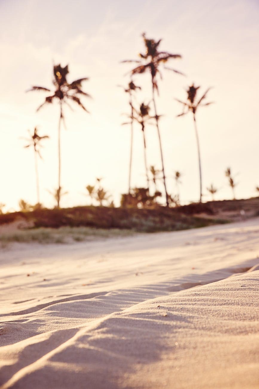 closeup photography of sand