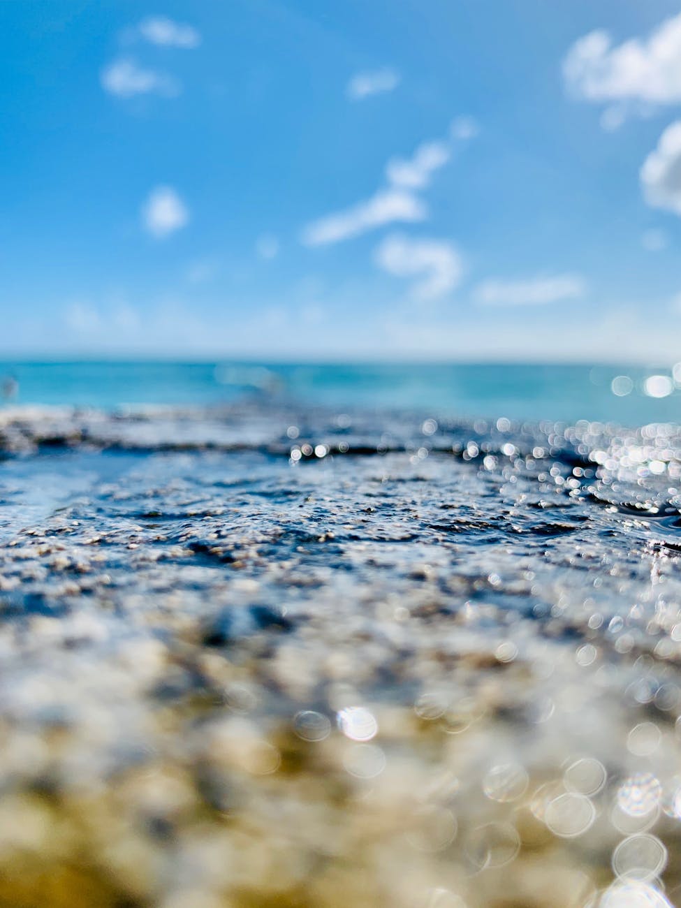 shallow focus photography of body of water