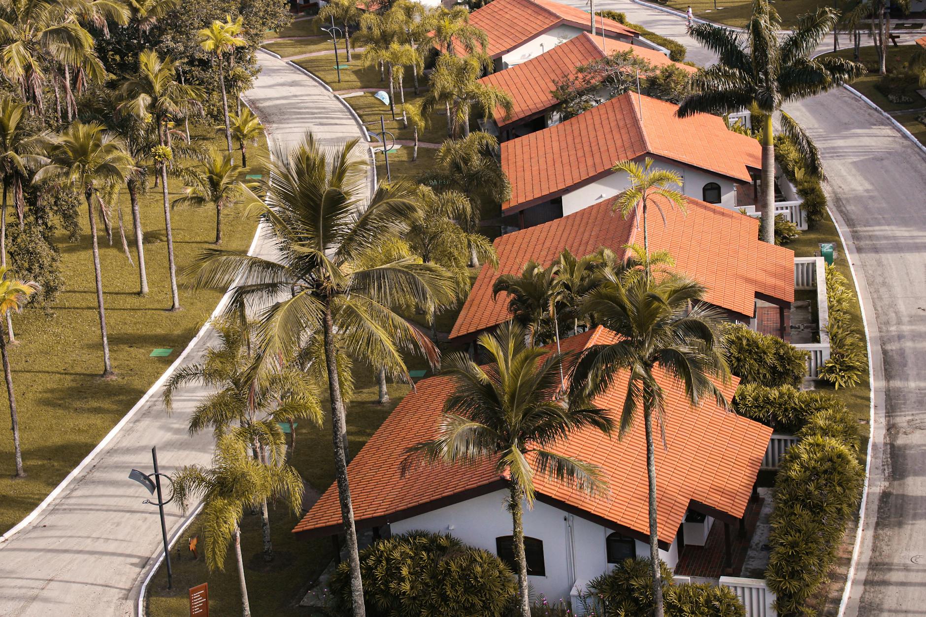 aerial view of suburban houses and palm trees