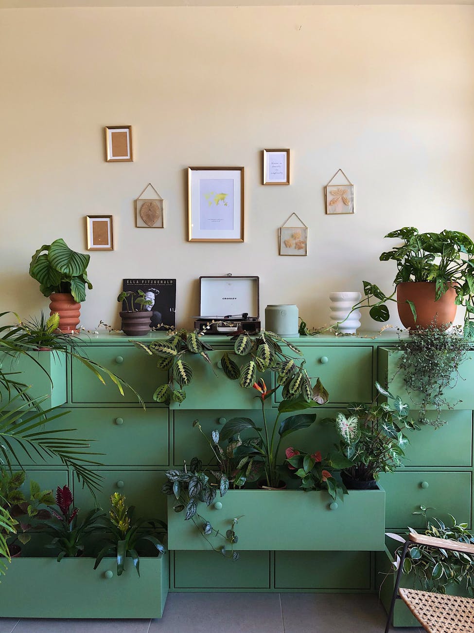 room with green cupboard decorated with potted plants