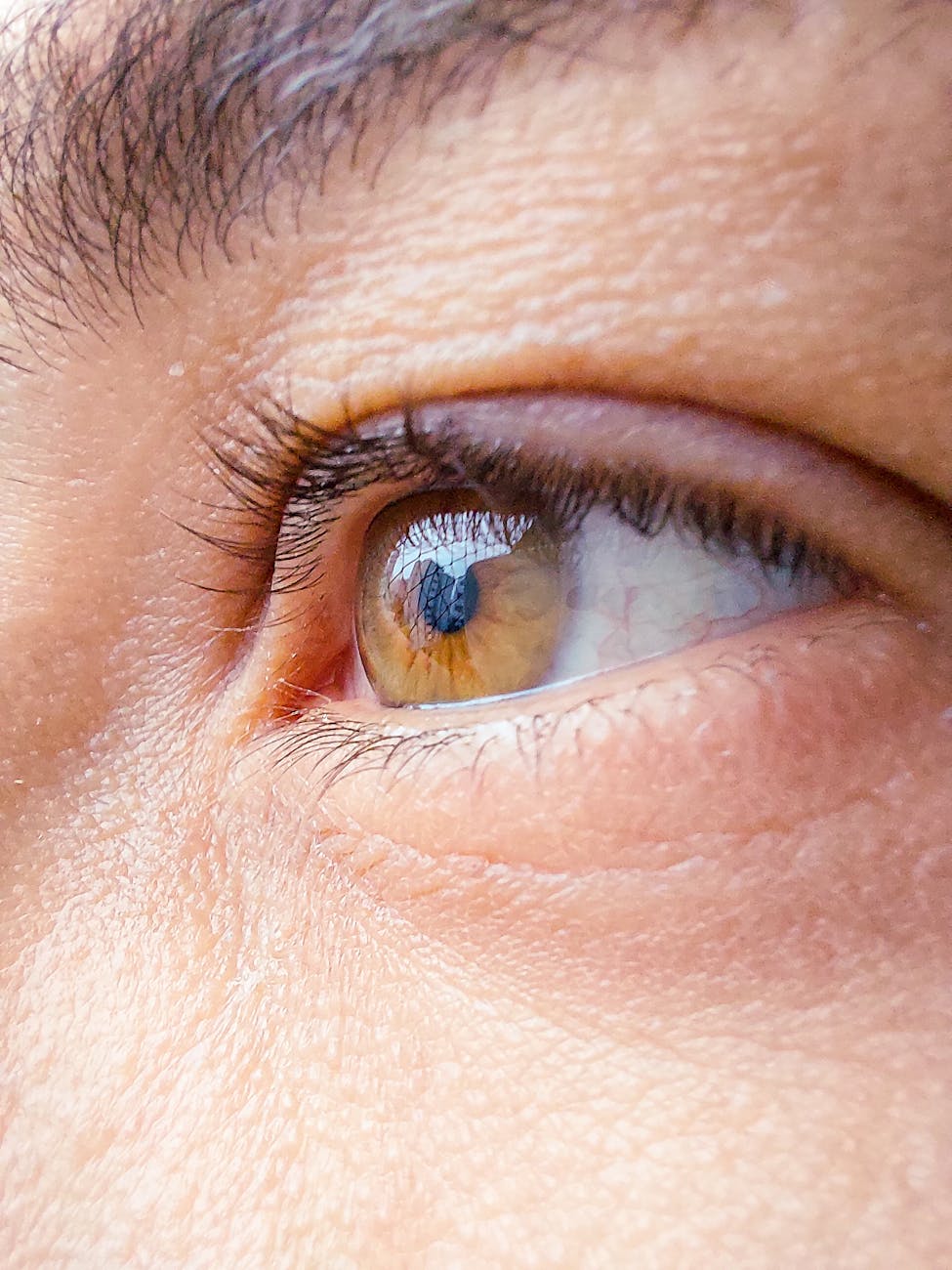 close up of a brown eye of a woman