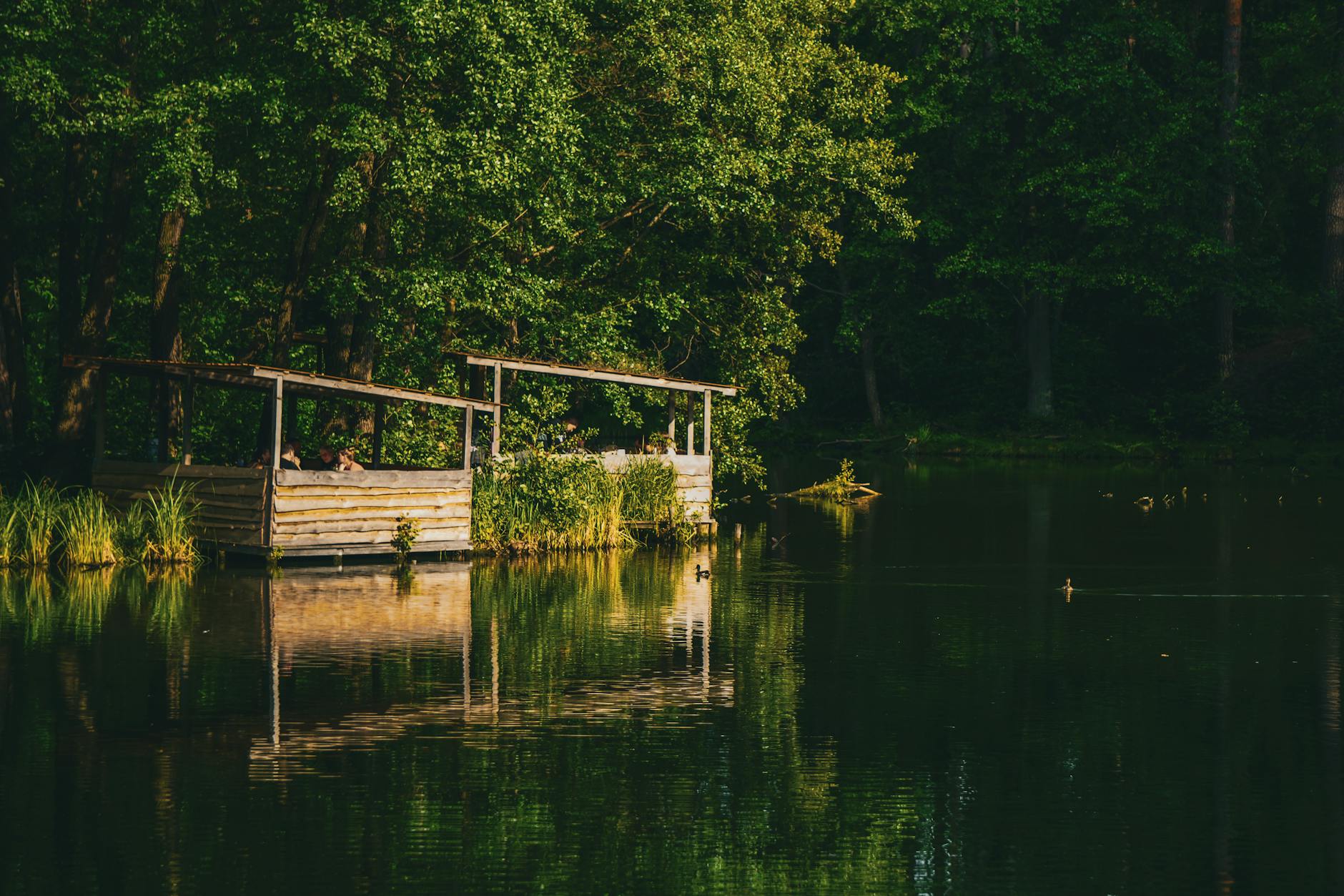 serene lakeside retreat in lush kyiv forest