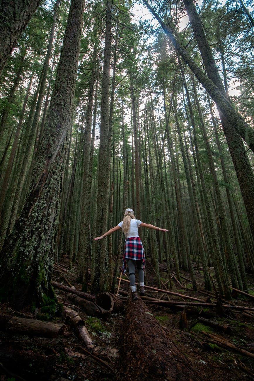 back view of a woman walking on a log in the forest