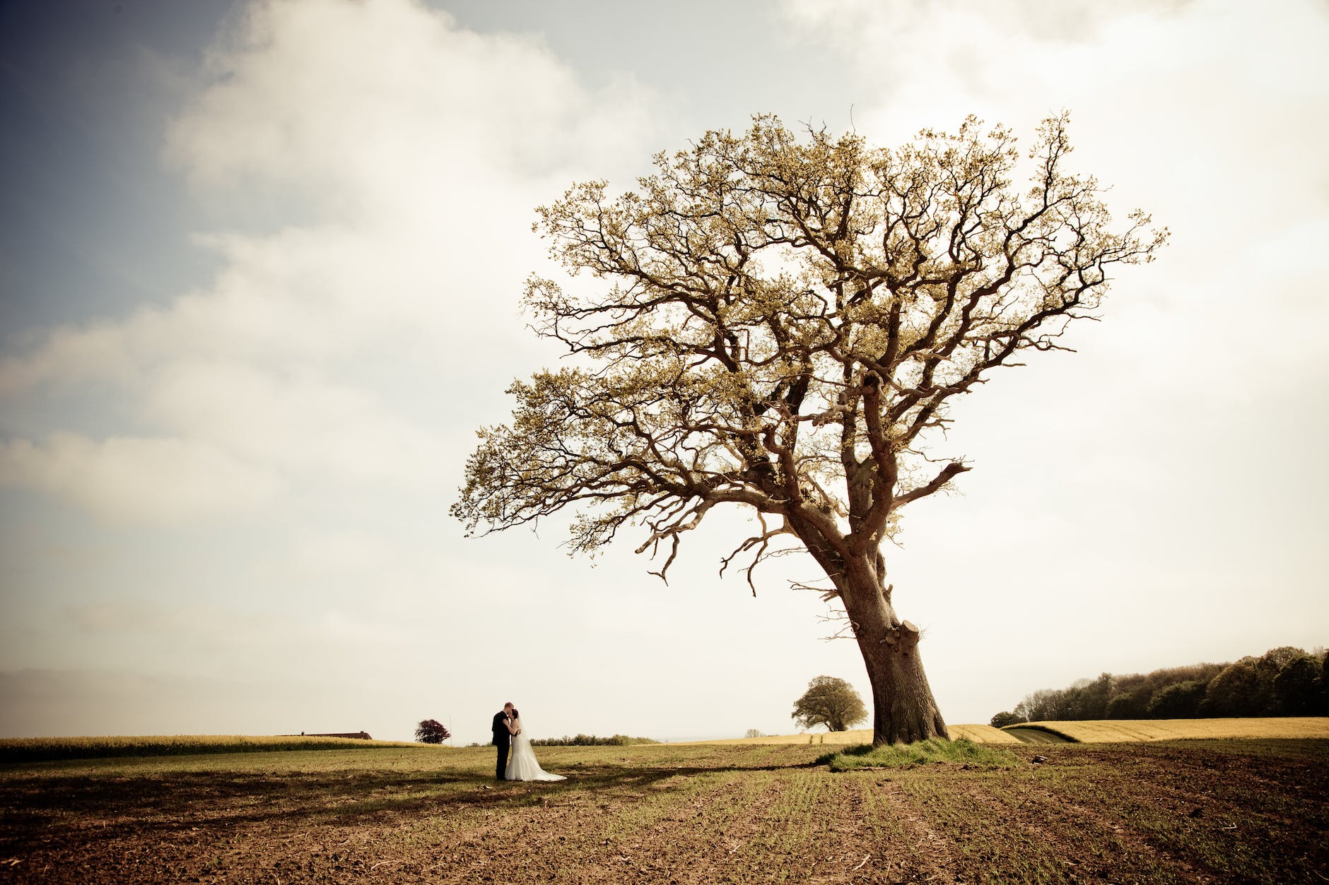 man and woman standing on brown field near green tree under white clouds