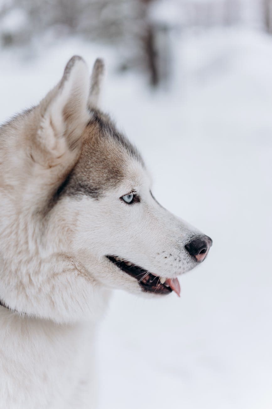 cold snow nature sky
