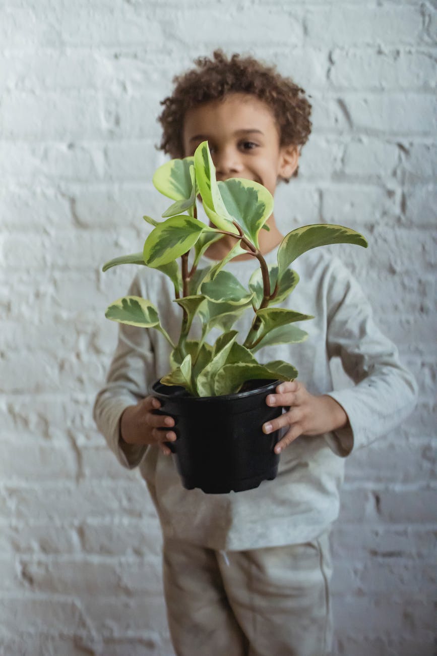 black boy with potted plant in hands