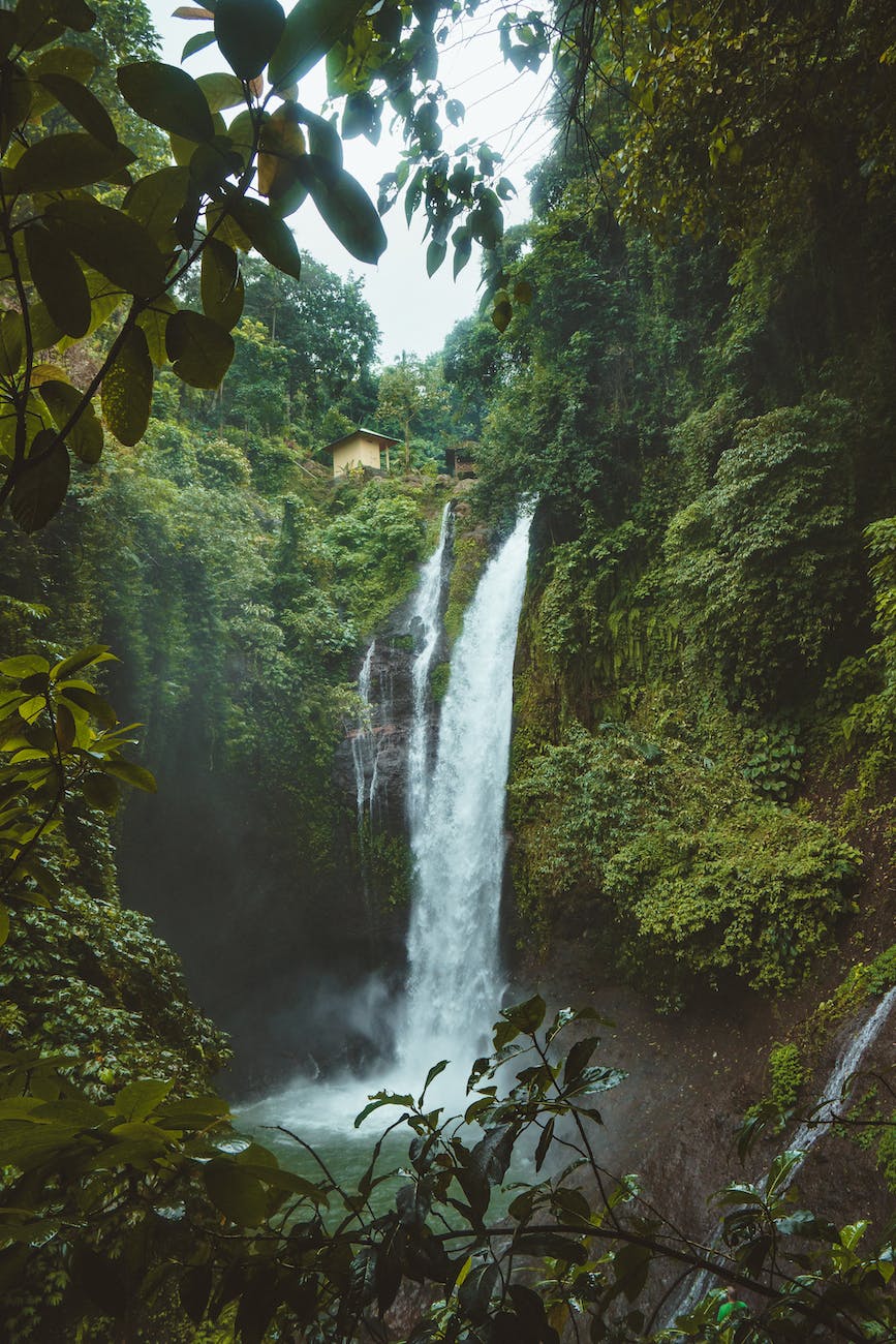 landscape photography of waterfalls surrounded by green leafed plants