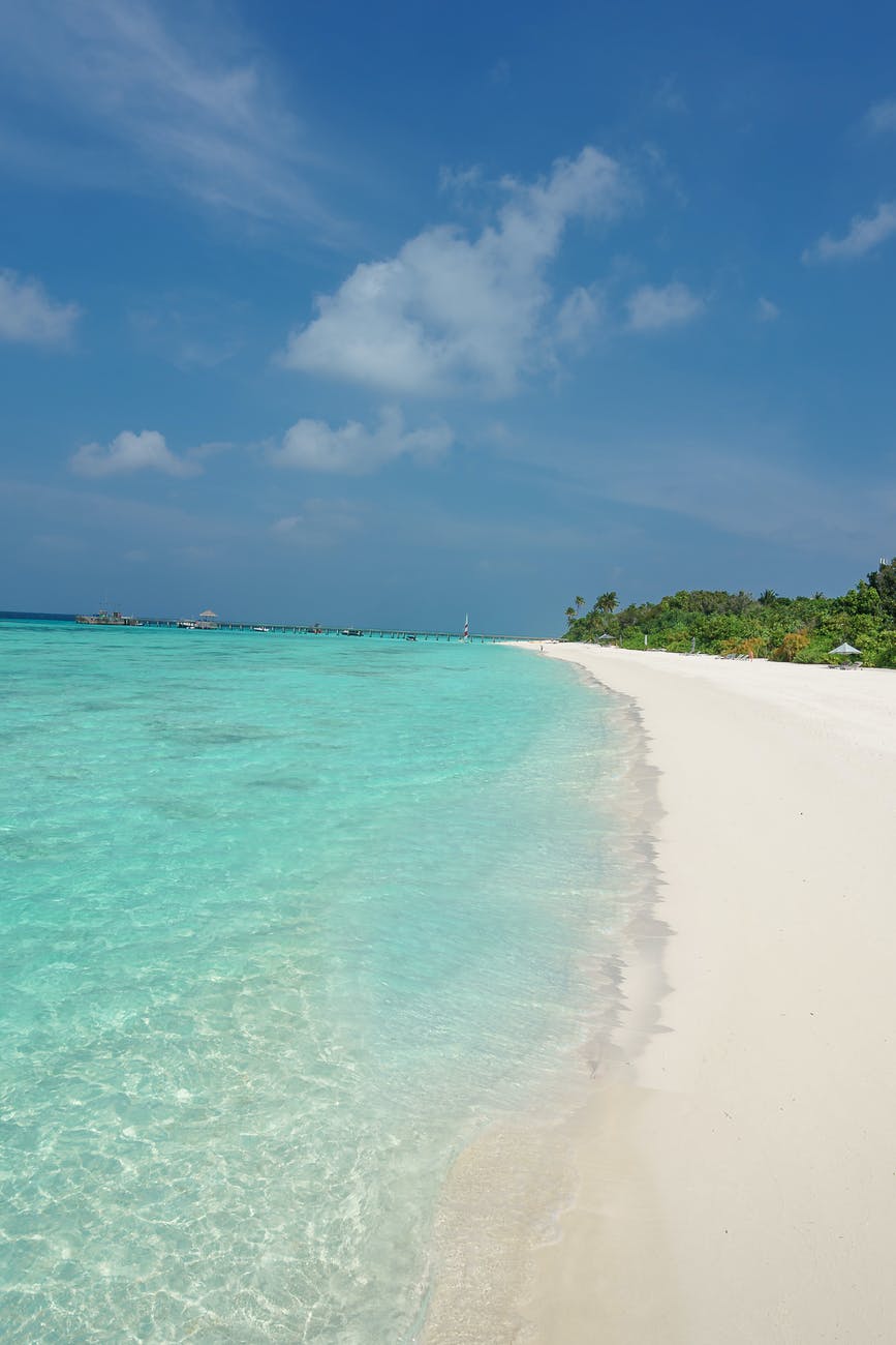 people on beach