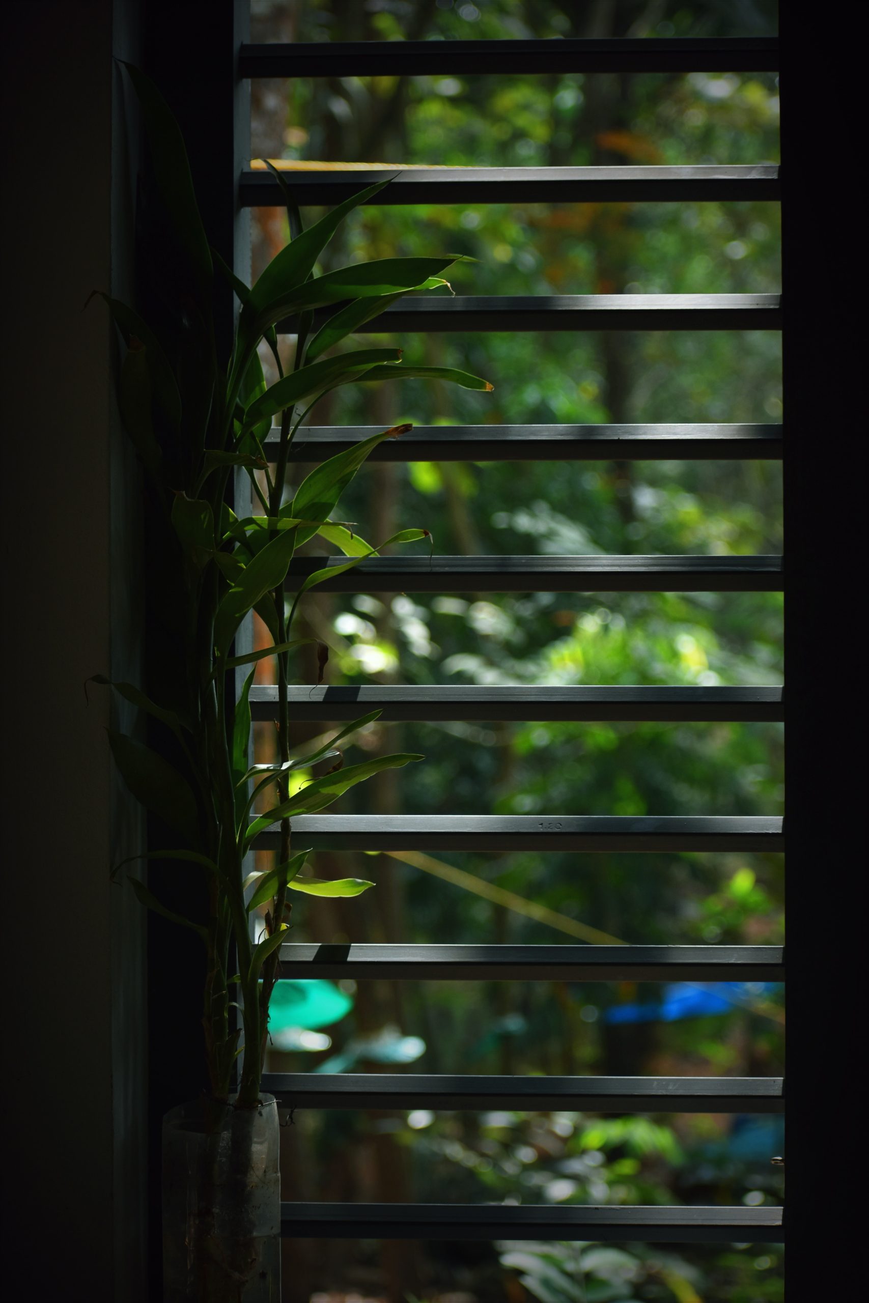 Six Signs Your Home Has A Pest Problem